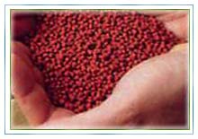 Immuno-Boost Pellets